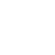 icon marketing management