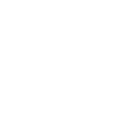 icon project management