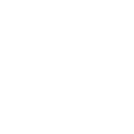 icon sales management