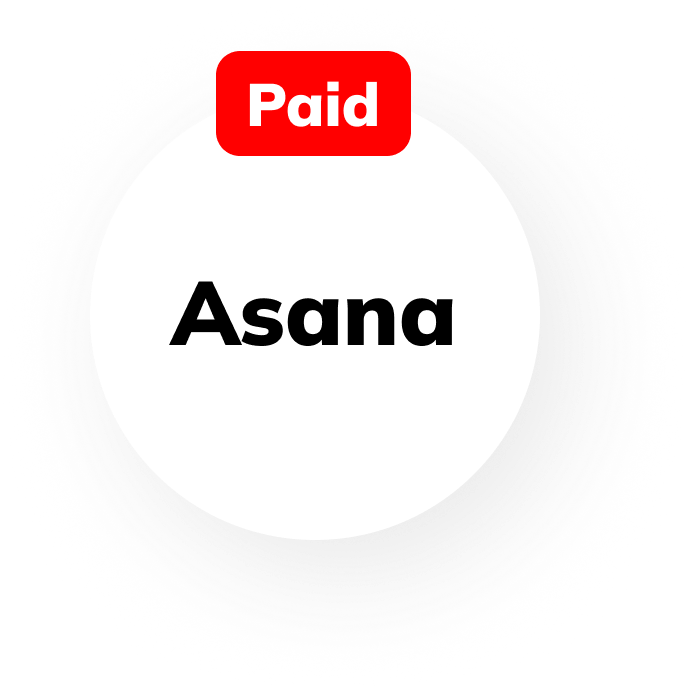 asana sample logo